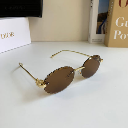 Dior Luxury Sunglasses — Premium Eyewear
